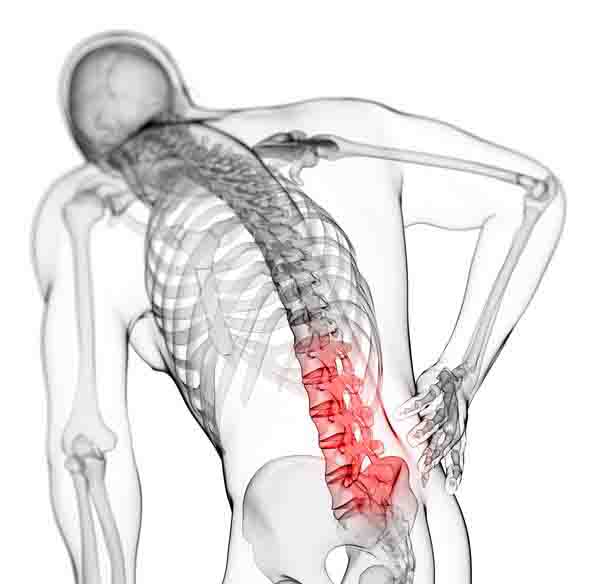 Solving the back pain puzzle, one spine area at a time
